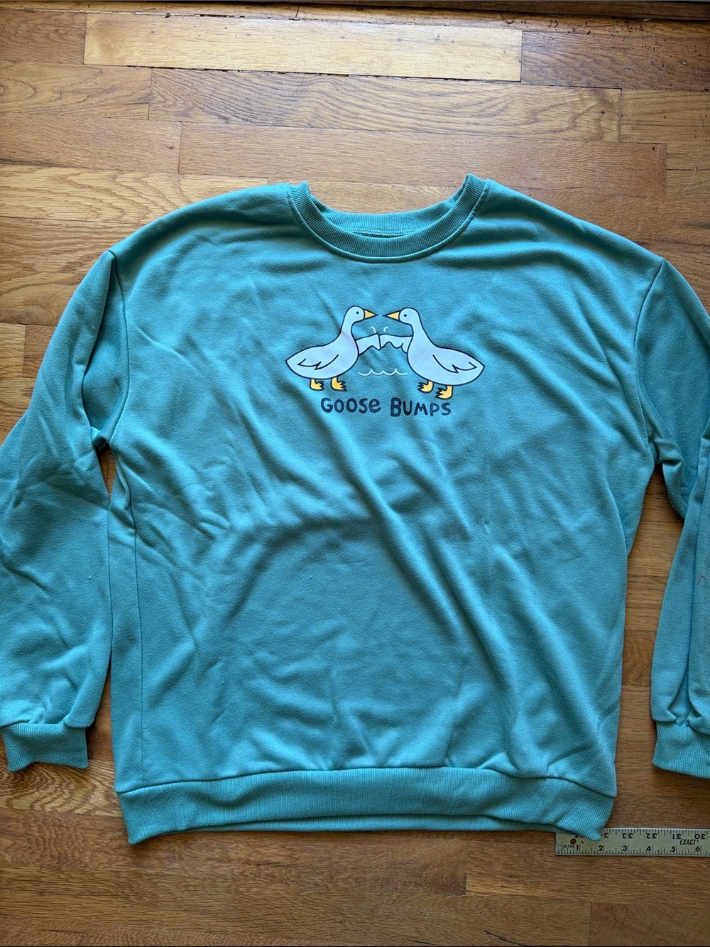 Turquoise 'Goose Bumps' Graphic Sweatshirt
